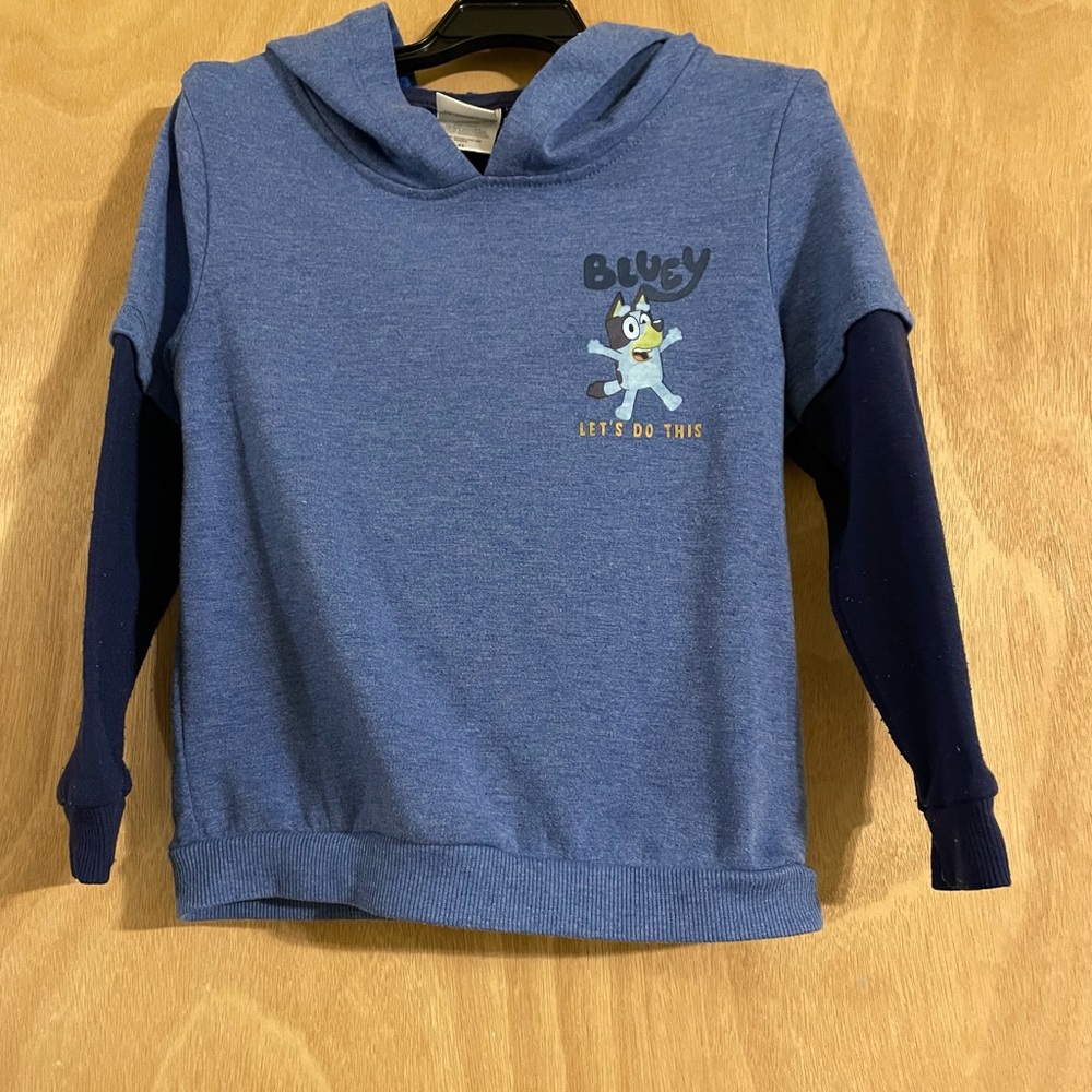 Good used condition BLUEY sweatshirt and Sweatpants size 4T
